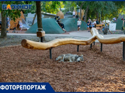 Пушкинская набережная в Таганроге: мнение таганрожцев о реконструкции