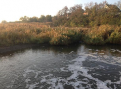 Поисковый отряд обнаружил под Таганрогом останки павшего бойца