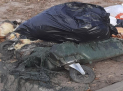 Таганрогские вандалы решили бороться с мусором радикально