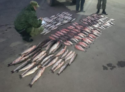 Браконьера с уловом на 2 млн задержали в хуторе Красный Пахарь Неклиновского района