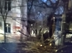 Ураган всё-таки добрался до Таганрога