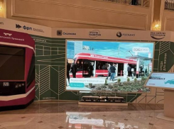 «Таганрогский трамвай» стал центром выставки в Совете Федерации 