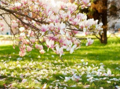 Синоптики советуют жителям Таганрога доставать летние вещи