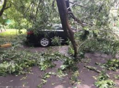 Резкое ухудшение погодных условий ждет жителей Таганрог в ближайшие часы