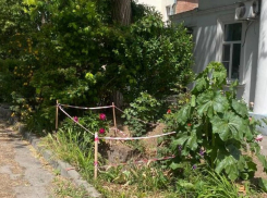 «Зачем там вырыли могилы?»: на таганрожцев наводят жуть ямы вдоль старинных особняков у моря