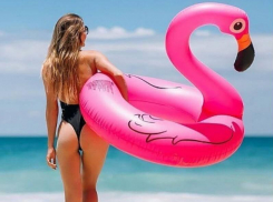 Иванов день, день рождения Зинедина Зидана или День розового фламинго