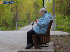  «Собирайте собрание и пишите заявку»: администрация прокомментировала отсутствие лавочек на Русском Поле