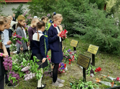 Аллею Бессмертия в Дубках в канун праздника привели в порядок в Таганроге