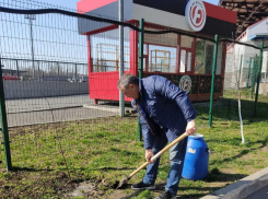 Спортивные школы Таганрога приняли участие в высадке растений