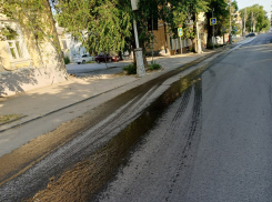 Таганрогская администрация не получила инструкции к поливальным машинам?