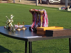 В Таганроге  вручены награды юным футболистам