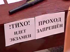 Единый госэкзамен выявил среди таганрогских выпускников двух компьютерных гениев