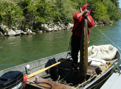 Кого будут разводить в Азовском море и других водоёмах России - выбрали племенных рыб