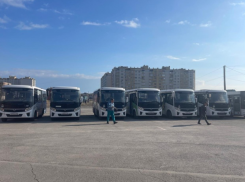 «Пароль от Госуслуг?»: выяснили причину таганрогской специфики в нумерации транспортных маршрутов