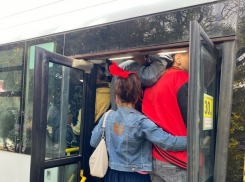 Селедка обзавидуется, ее даже так в банки не набивают, как таганрожцев в маршрутку