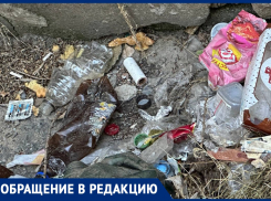 «Зловоние, мыши и тараканы»: жители микрорайона Дубки в Таганроге жалуются на антисанитарию