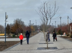 Реконструкция парка им. 300-летия якобы завершена 