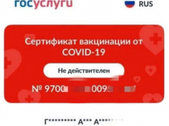 Просроченные  QR-коды: сбой на Госуслугах или новые сроки действия сертификатов