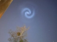 На нас летит чужая галактика? Таганрожцы вместе со всей Европой озадачились яркой спиралью в небе