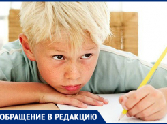 «Каникулы для учителя или ребенка?»: задалась вопросом таганроженка