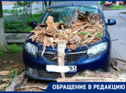 УК «Сервис-Юг» на протяжении пяти лет игнорировала просьбы таганрожцев 