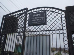 Жителям Таганрога организуют бесплатные спортзалы в летний период