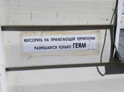 Мусорить у Центрального рынка Таганрога разрешили только определенной категории граждан