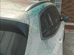 То плюнут, то зелёнкой обольют: за что так ненавидят таганрогскую семью