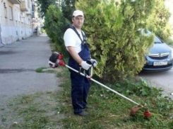 Жители Батайска советуют своей администрации взять пример с Таганрога
