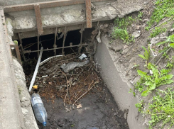 «Оптимизировать уровень решеток» вызвались чиновники из Таганрога