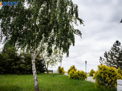 До +23 потеплеет на новой рабочей неделе в Таганроге 