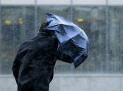 Сильный дождь и ветер сегодня ожидают в Ростовской области