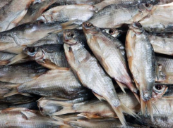 Жителям Русского поля предлагали опасную закуску к пиву