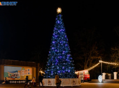 Жители Ростовской области требуют от губернатора отмены празднования Нового года