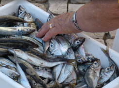 Внезапный взлёт цен на рыбу и мясо именно в Таганроге объяснил Центробанк - что нам ожидать в феврале