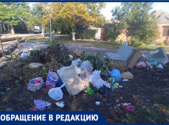 Таганрожцы бросают мусор там, где запрещено
