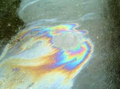 Дождливые и прохладные будние дни обещают синоптики жителям Таганрога