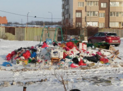 Самым замусоренным городом области оказался Таганрог