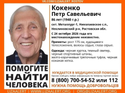 Пожилой мужчина пропал под Таганрогом
