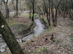 Не зимушка-зима в Таганроге: прогноз погоды на рабочую неделю