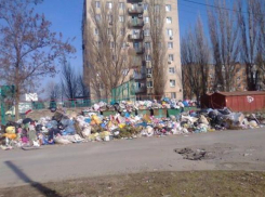Власти города пересчитали свалки в центре Таганрога 