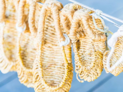 Чесать уши и делать комплименты: что можно и нельзя делать на Лаптев день, 22 февраля