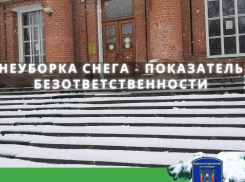 За нечищеный снег Административная инспекция наказала детский сад и ВУЗ Таганрога