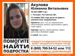 В Таганроге третий раз за год пропадает 15-летняя девочка