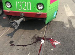 Возбуждено уголовное дело по ДТП с водительницей трамвая в Таганроге