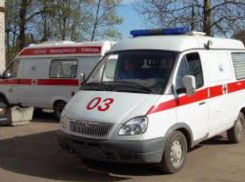 17 автомобилей Скорой помощи и 53 школьных автобуса получит Ростовская область