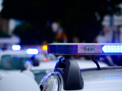 То ли бешенство, то ли беснование: дебошир из Таганрога укусил полицейского