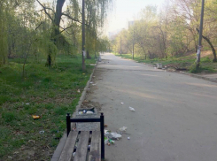 Рощу «Дубки» не спасают даже субботники – вдоль дорожек «гуляет» только мусор из переполненных урн