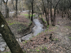 Осенняя погода ожидает таганрожцев на рабочей неделе