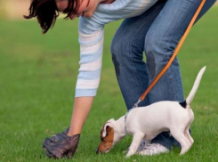 «Ты чё, из Америки?» - культурная таганроженка удивила сограждан